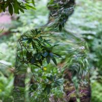 The invisibile man - Clive Watkins