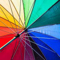 Umbrella - Sandra King