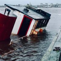 Zenobia - Alan Kempster