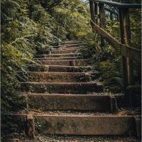 Staircase - Colin Duffy